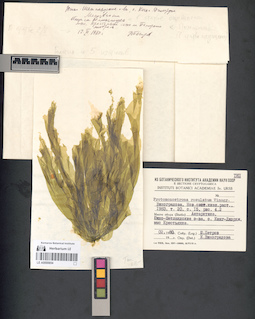 LE A0000654