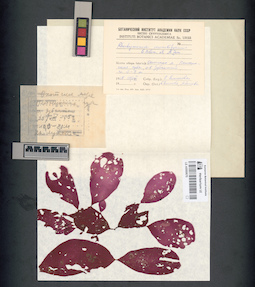 LE A0000670