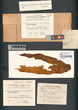 LE A0000685