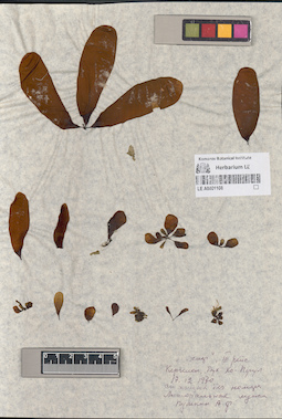 LE A0001108