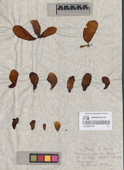 LE A0001109
