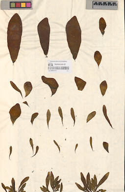 LE A0001111