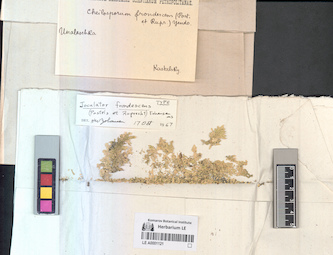 LE A0001121