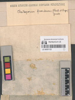 LE A0001122