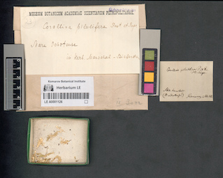 LE A0001126