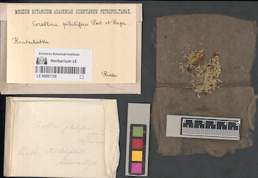 LE A0001128
