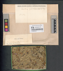 LE A0001129