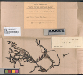 LE A0001159