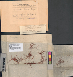 LE A0001160