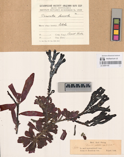 LE A0001165