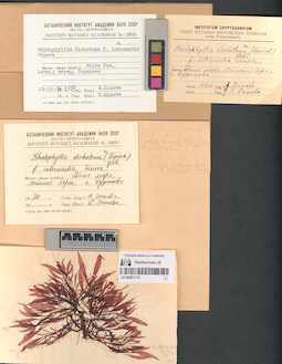 LE A0001175