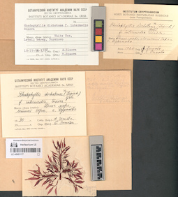 LE A0001177