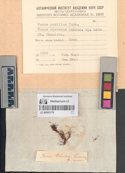 LE A0001178