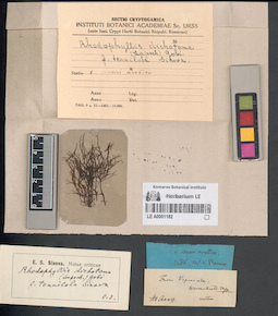 LE A0001182