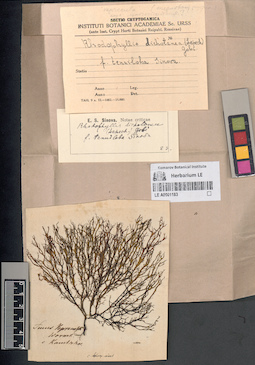 LE A0001183