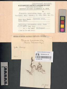 LE A0001186