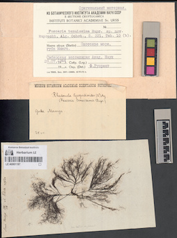 LE A0001187