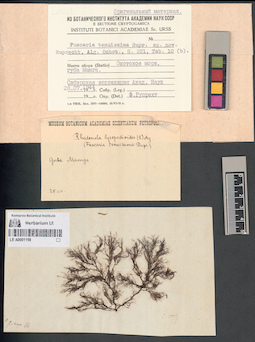 LE A0001188