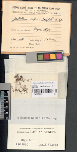 LE A0001192