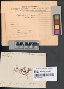 LE A0001194