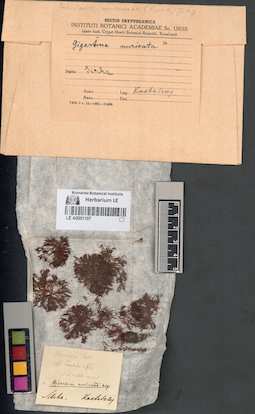 LE A0001197