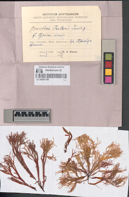 LE A0001198