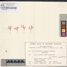 LE A0001199