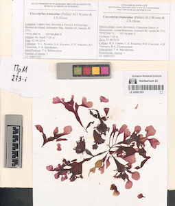 LE A0001205