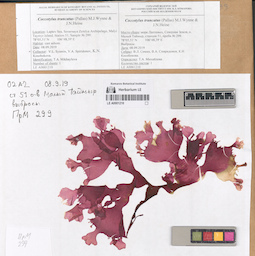 LE A0001210