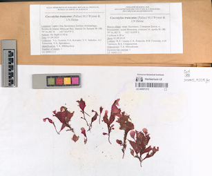 LE A0001212