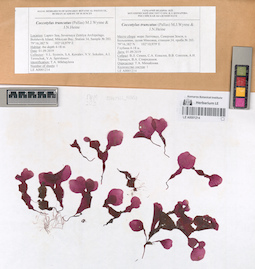 LE A0001214