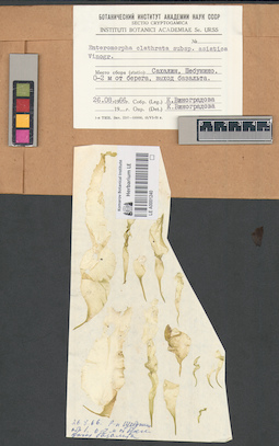 LE A0001240