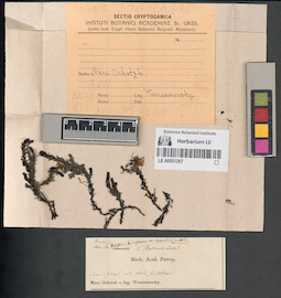 LE A0001267