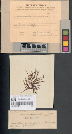 LE A0001270
