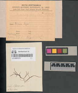 LE A0001272