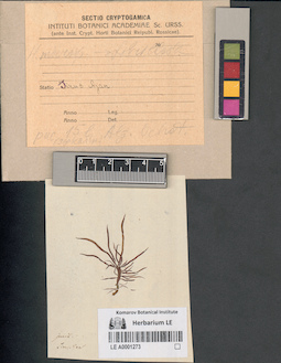LE A0001273