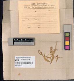 LE A0001276