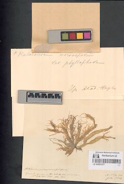 LE A0001277