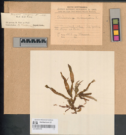 LE A0001279