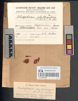 LE A0001355