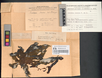 LE A0001356
