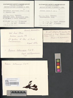LE A0001357
