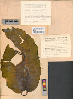LE A0001602