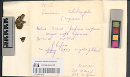 LE A0001612