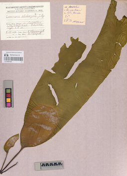 LE A0001625