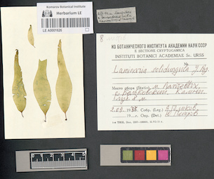 LE A0001626