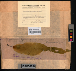 LE A0001637