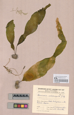 LE A0001643