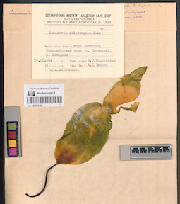 LE A0001646