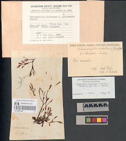 LE A0001662